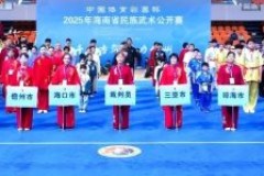 2025年海南省民族武术公开赛在儋州圆满结束