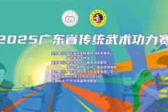 破“桩”而出，以“智”铸魂——首届广东省传统武术功力赛开启武术智能时代
