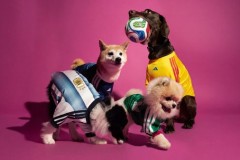 阿迪达斯发布26年FIFA世界杯主场球衣宠物系列  为萌宠打造专属战袍