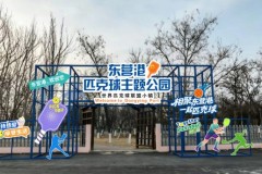 2026年中国匹克球巡回赛高校赛“李宁杯”东营站(CPC-U500)