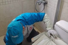 宝山区漏水维修参考：蓝幕建设专业解析