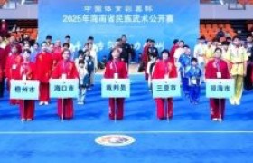 2025年海南省民族武术公开赛在儋州圆满结束