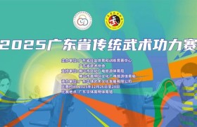 破“桩”而出，以“智”铸魂——首届广东省传统武术功力赛开启武术智能时代