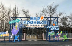 2026年中国匹克球巡回赛高校赛“李宁杯”东营站(CPC-U500)
