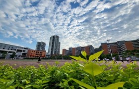 重庆武术学校怎么选：文武双修育人模式解析